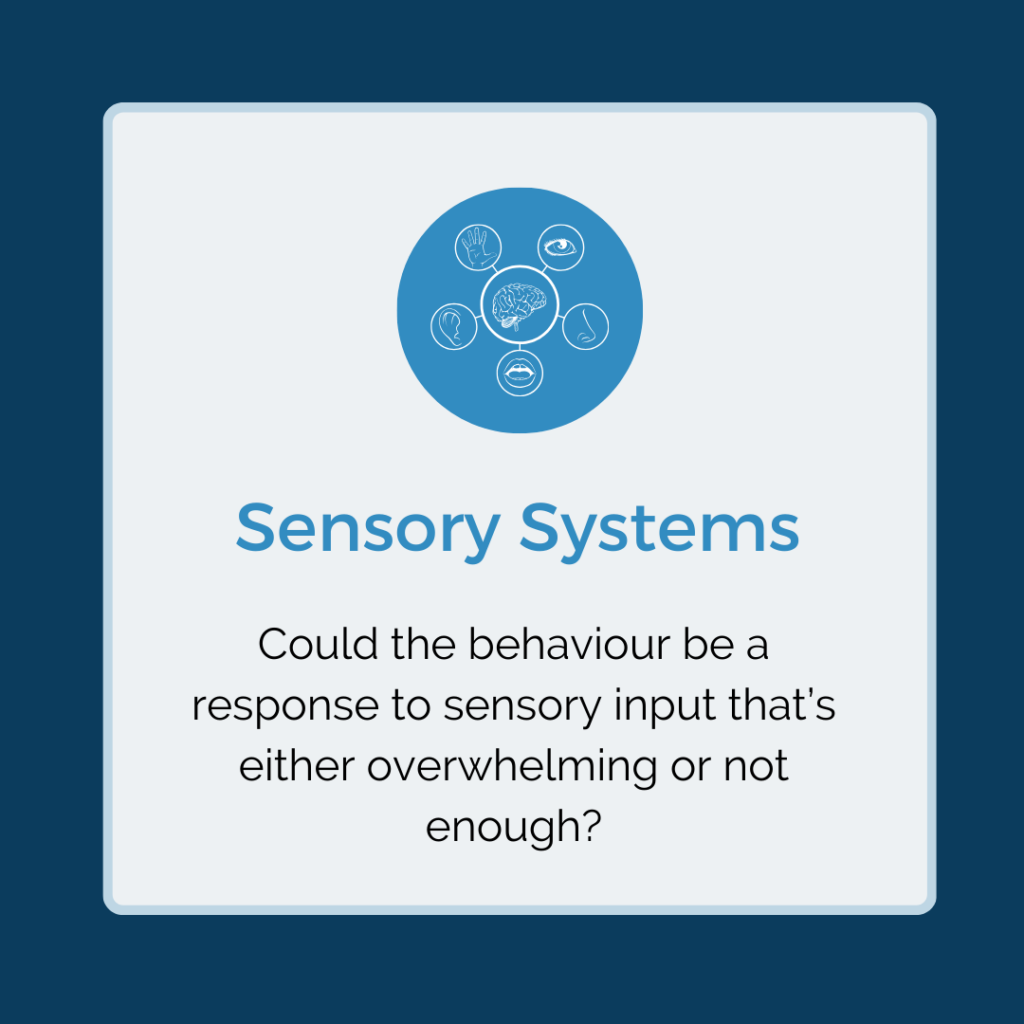 ensory Systems – Could the behaviour be a response to sensory input that’s either overwhelming or not enough?