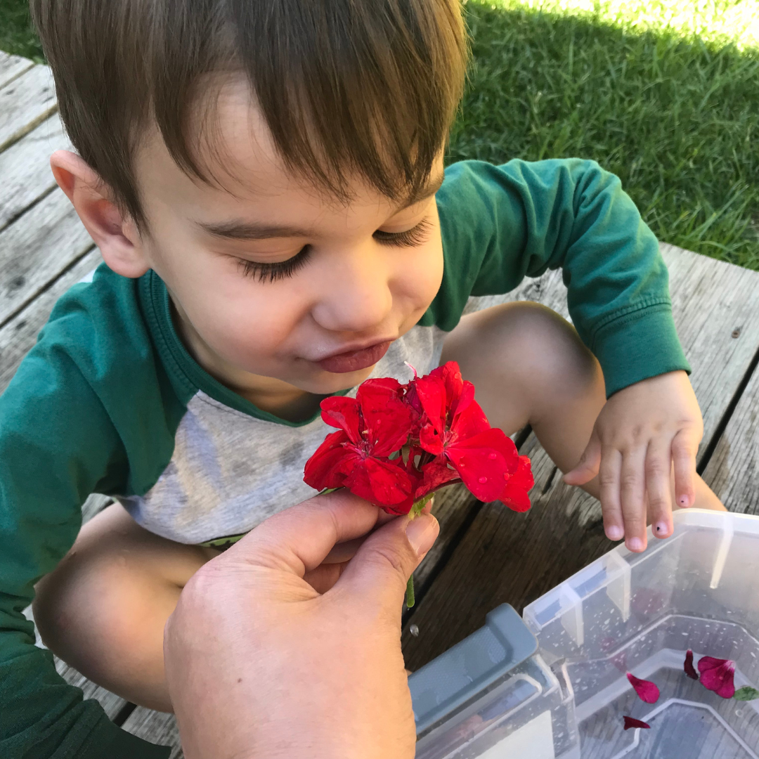 Child smelling flower during play